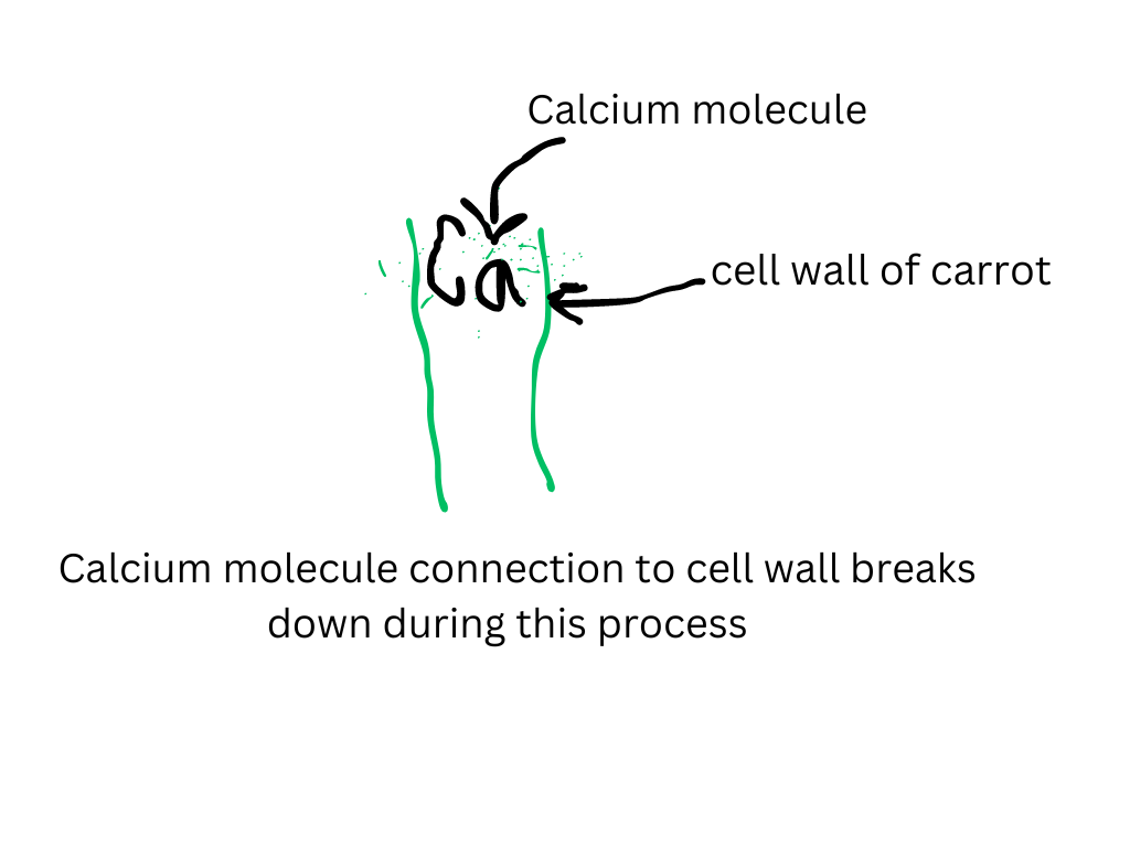Living well in the 21st century - Limassol, Cyprus. A diagram of cell wall with calcium molecule in the middle. 